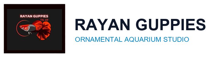 rayan guppies